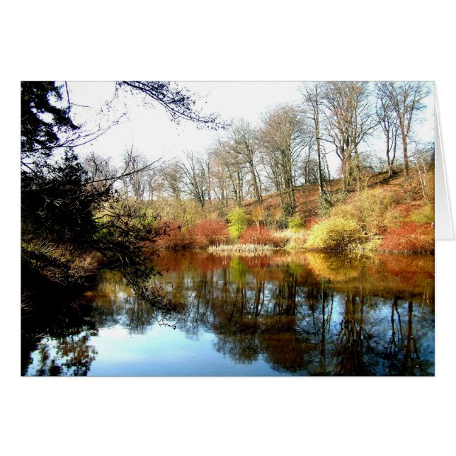 reflexiones (Anverso (Horizontal))
