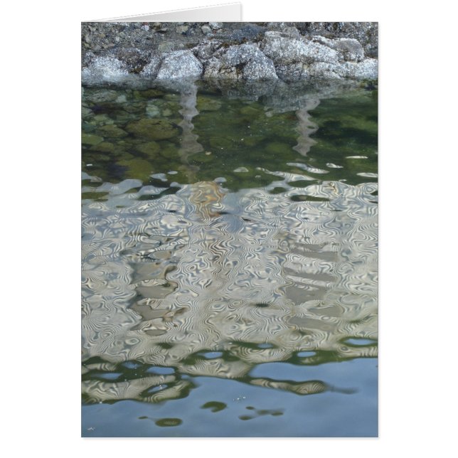 Reflexiones (Frente)