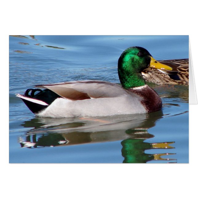 Reflexiones (Anverso (Horizontal))