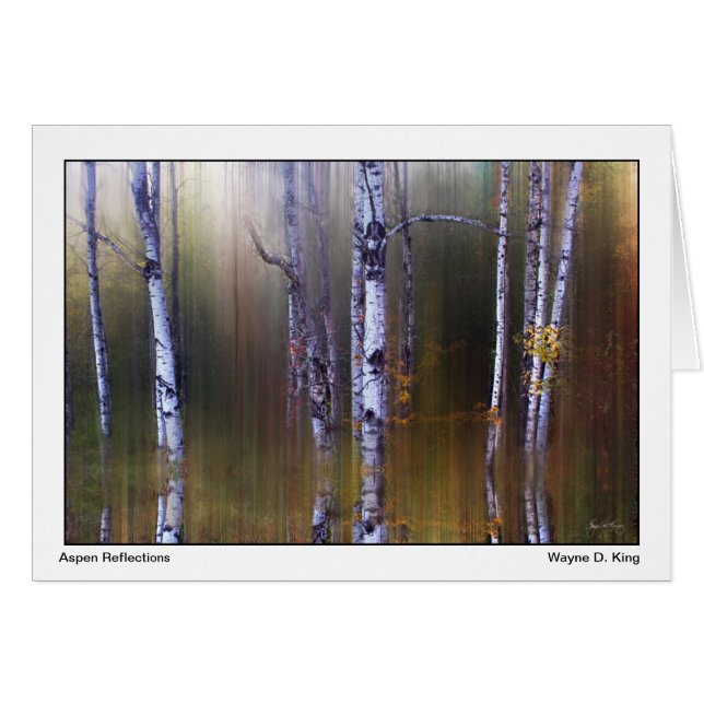 Reflexiones Aspen (Anverso (Horizontal))