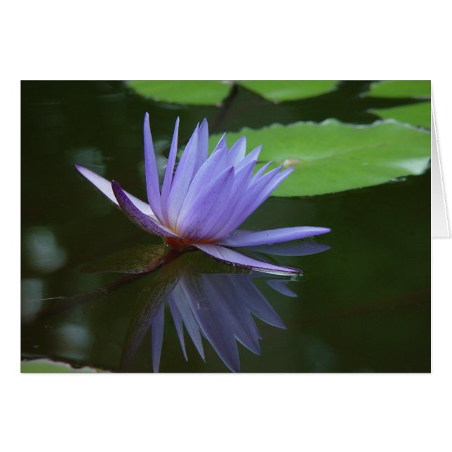 Reflexiones azules (Anverso (Horizontal))