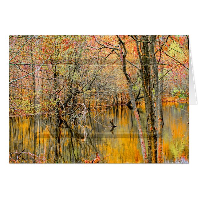 Reflexiones de árbol/COLECCIÓN DE TIERRAS húmedas  (Anverso (Horizontal))