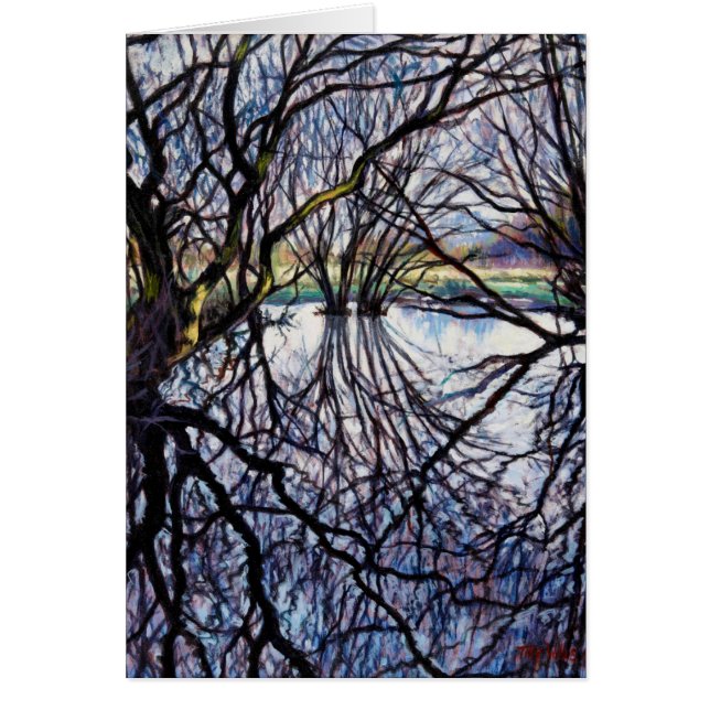 Reflexiones de estanques 2009 (Frente)