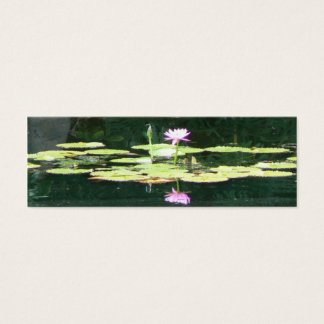 Reflexiones de Lotus