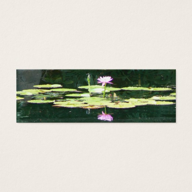 Reflexiones de Lotus (Frente)
