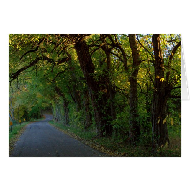 Reflexiones de otoño #25 (Anverso (Horizontal))