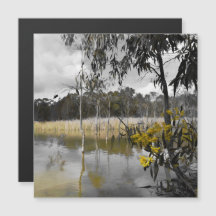 Reflexiones debajo de la tarjeta magnética de los 