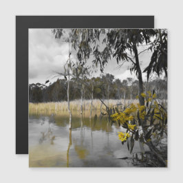 Reflexiones debajo de la tarjeta magnética de los 