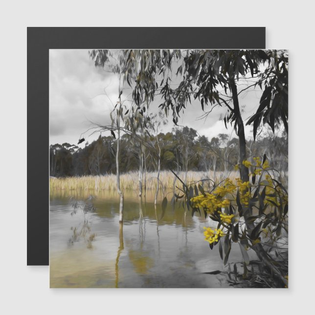 Reflexiones debajo de la tarjeta magnética de los  (Anverso/Reverso)