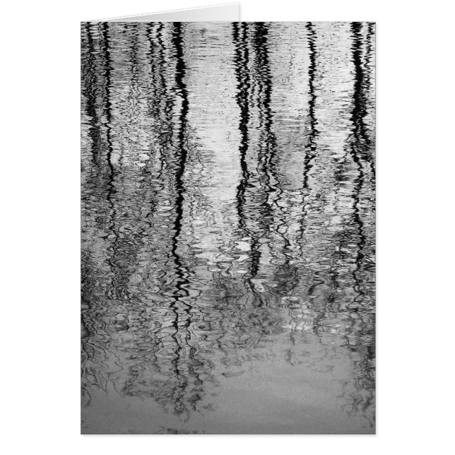 Reflexiones del árbol (Frente)