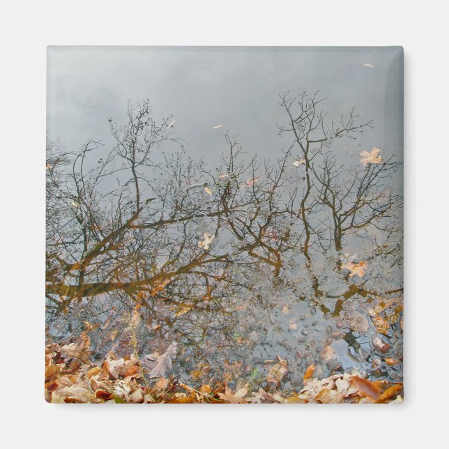 Reflexiones del imán otoñal (Frente)