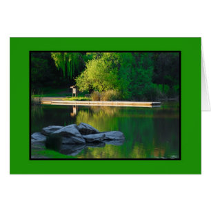 Reflexiones del lago spring