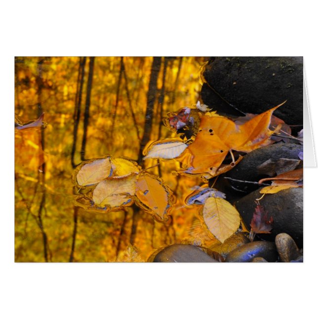 Reflexiones del oro del otoño (Anverso (Horizontal))