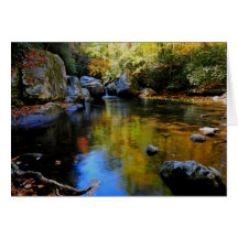 Reflexiones en la cala grande