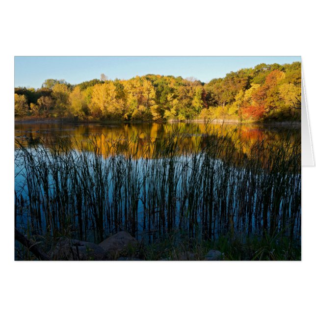 Reflexiones otoñales del Marthaler Park (Anverso (Horizontal))