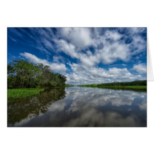 Reflexiones sobre la selva peruana