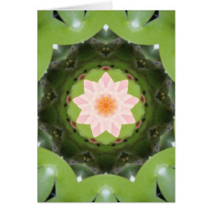Refracción de Lotus rosa