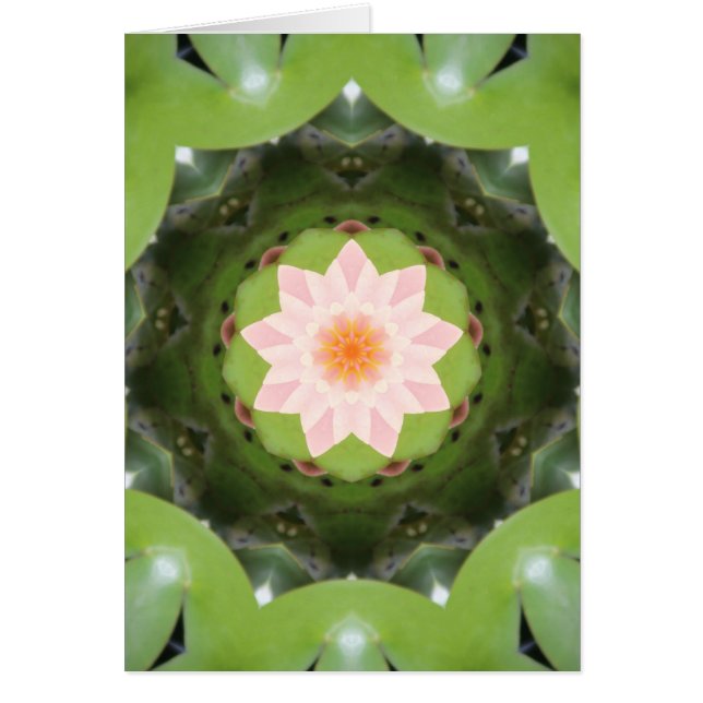 Refracción de Lotus rosa (Frente)