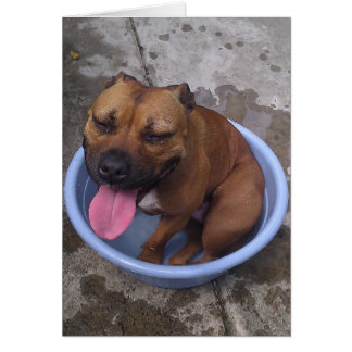 ¡Refriándose en un día caluroso!