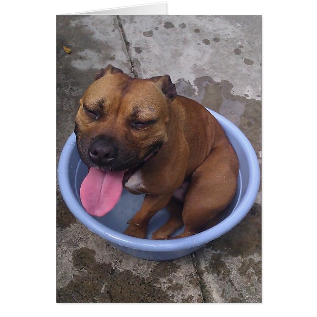 ¡Refriándose en un día caluroso! (Frente)