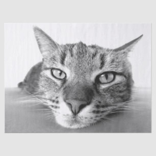 Refrigeración por papel de tejido