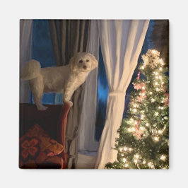 Refrigerador imán esperando Santa Paws