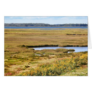 Refugio de vida silvestre Parker River: Isla Plum