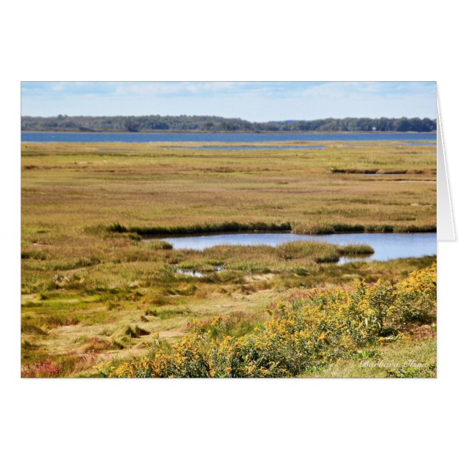 Refugio de vida silvestre Parker River: Isla Plum (Anverso (Horizontal))
