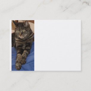 Regal Dave Chubby Tarjeta de presentación