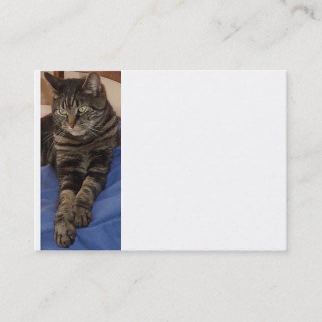 Regal Dave Chubby Tarjeta de presentación (Anverso)