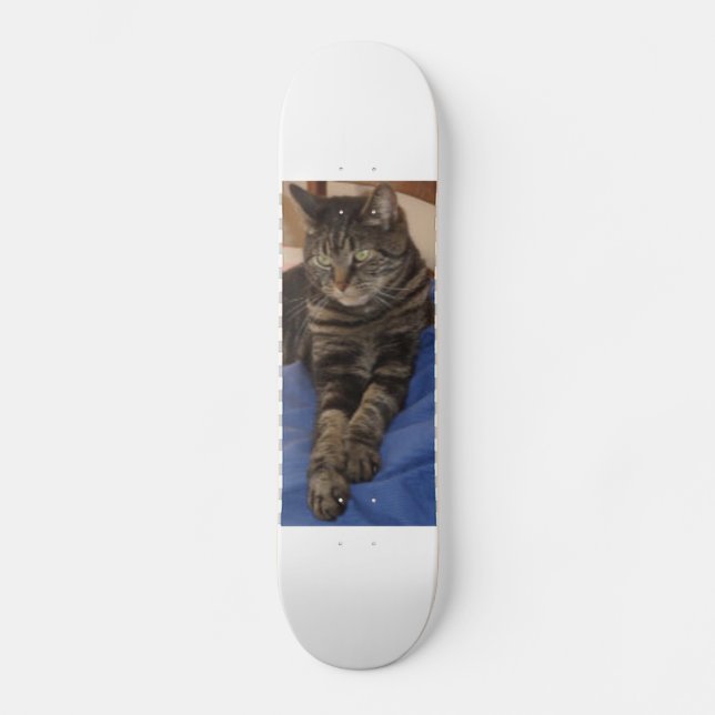 Regal Dave Skateboard (Anverso)