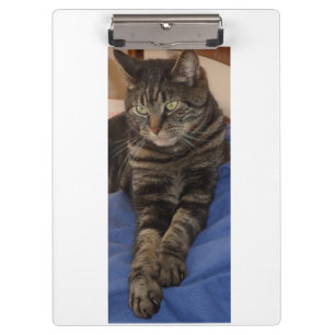 Regal Dave Ultra Sturdy Portapapeles A4