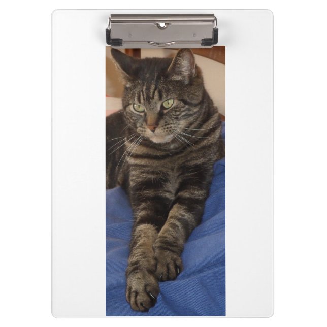 Regal Dave Ultra Sturdy Portapapeles A4 (Anverso)