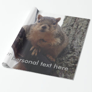 Regalo Ardilla mirando su papel de envolver