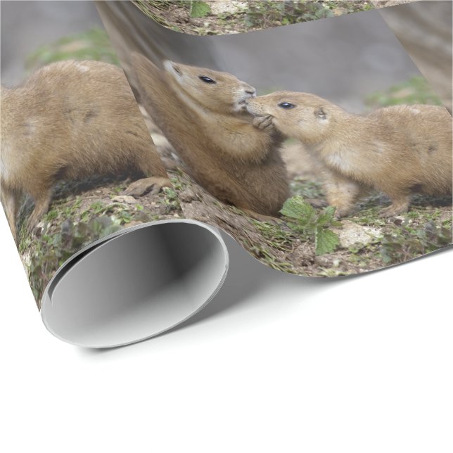 Regalo Bésame papel de ajuste rápido (Esquina del rollo)