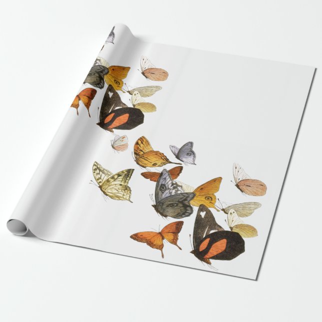 REGALO BLANCO DE PAPEL DE RAPAS CON MARIPOSAS (Desenrollado)