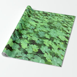 Regalo campo de papel de envoltura de trébol