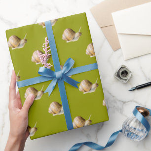 Regalo Caracol lindo en papel de envolvimiento verde de M