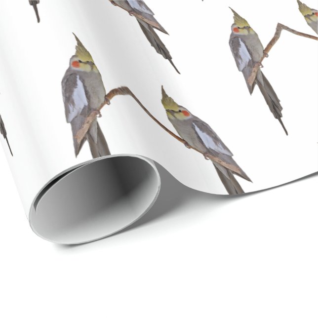 Regalo Cute Cockatiel Frenzy Papel de ajuste (Esquina del rollo)