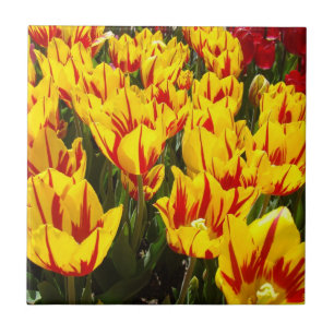 Regalo de baldosas arte Tulipanes Amarillos Flores