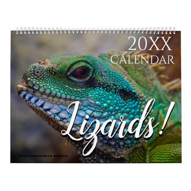 Regalo de calendario de pared con tema de Lizard 2 (Tapa)