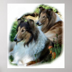 Regalo de Collie Áspero de Arte