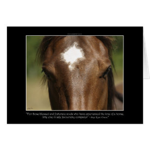 Regalo de Equine Animal lover