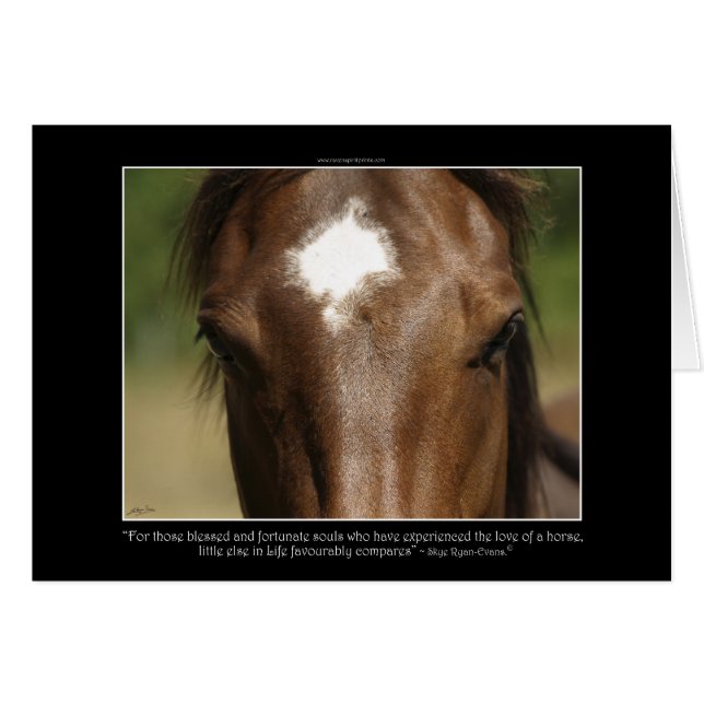 Regalo de Equine Animal lover (Anverso (Horizontal))