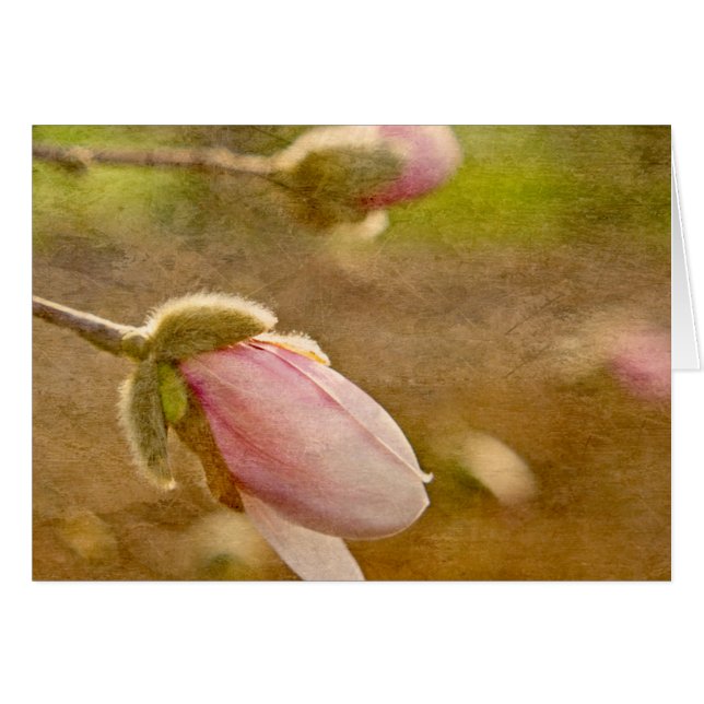 Regalo de esperanza (Anverso (Horizontal))