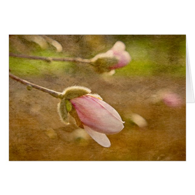 Regalo de esperanza (Anverso (Horizontal))