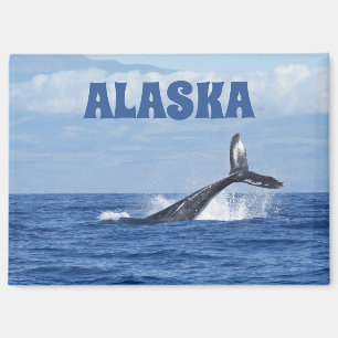 Regalo de imán de Alaska escénico cola de ballena 