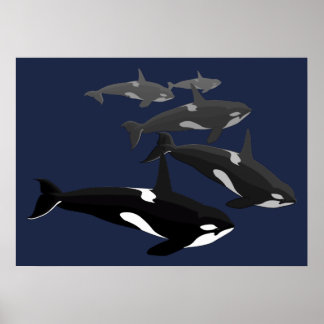 Regalo de las impresiones de arte de ballenas de O