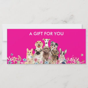 Regalo de mascota de tienda de preparación para pe