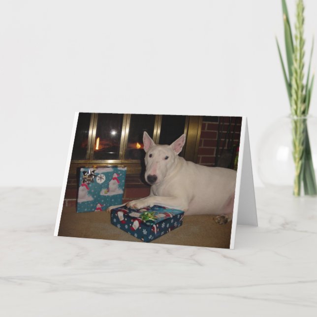regalo de Navidad de bull terrier del inglés (Anverso)